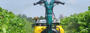 CIMA NEW PLUS 55  